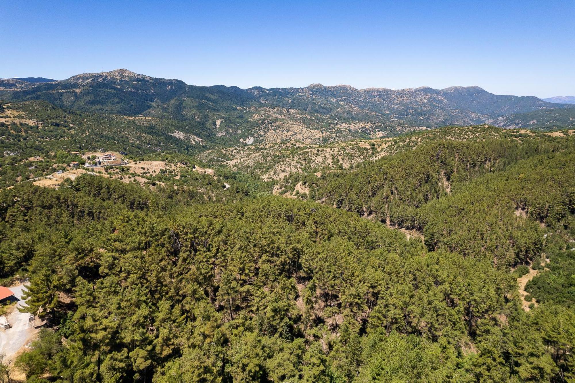 Natura Hotel ויטינה מראה חיצוני תמונה